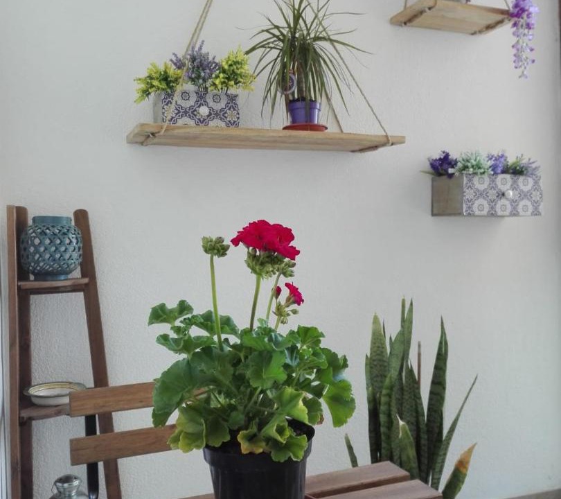 Photo of Livingroom in Bagheria