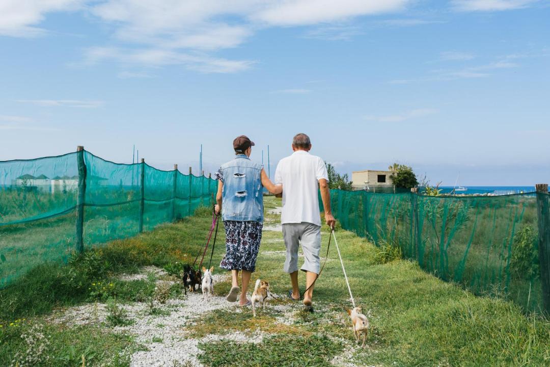 Photo of Others in Torrenova