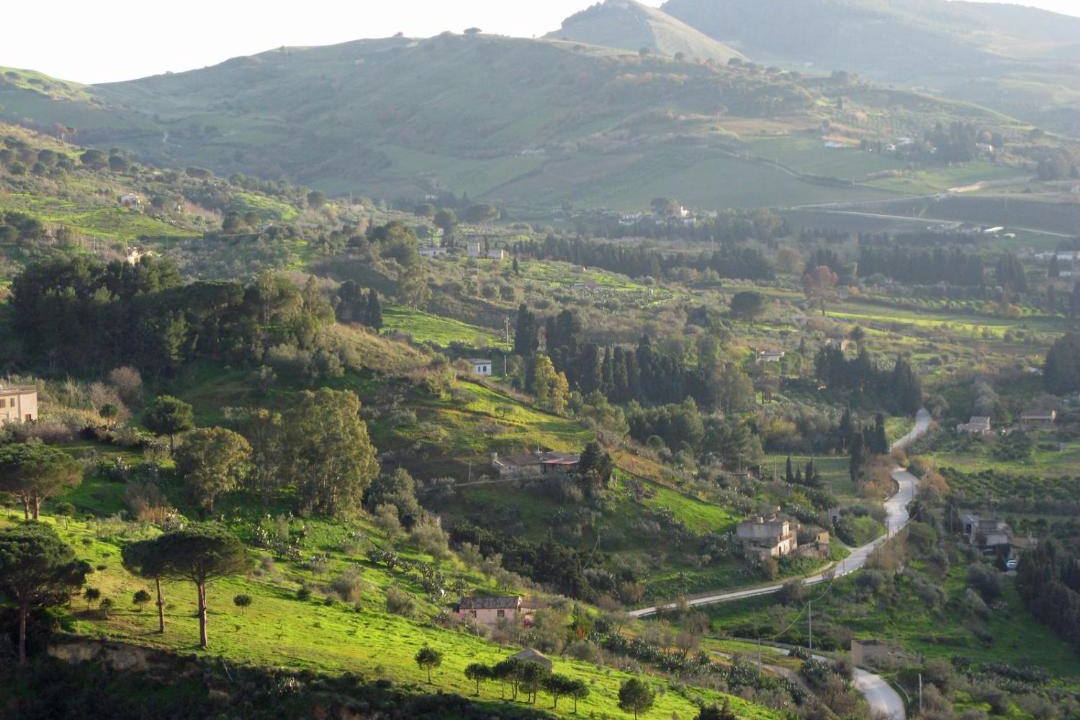 Photo of Others in Calatafimi