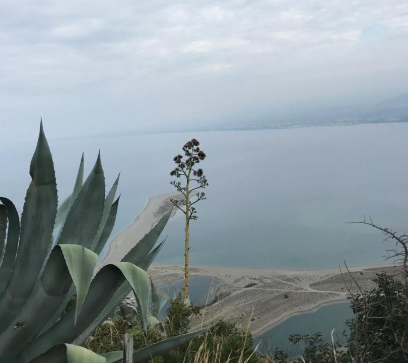 Photo of Outdoor in Falcone
