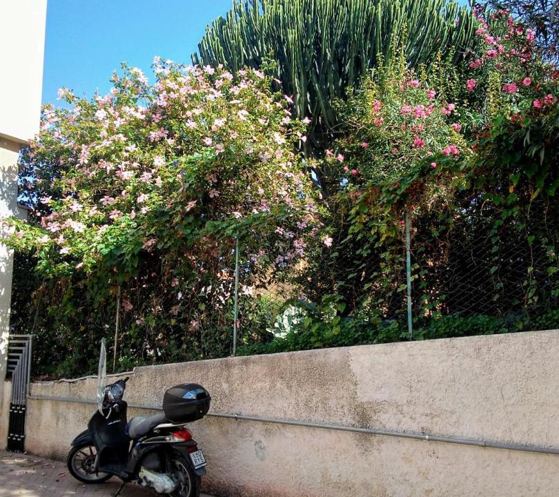 Photo of Others in Cefalu