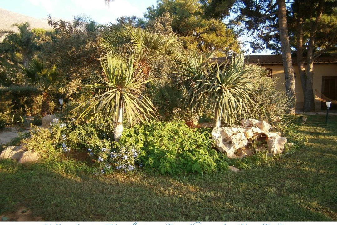 Photo of Outdoor in Castelluzzo