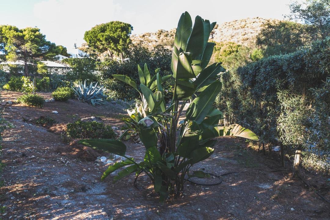 Photo of Others in Vulcanello