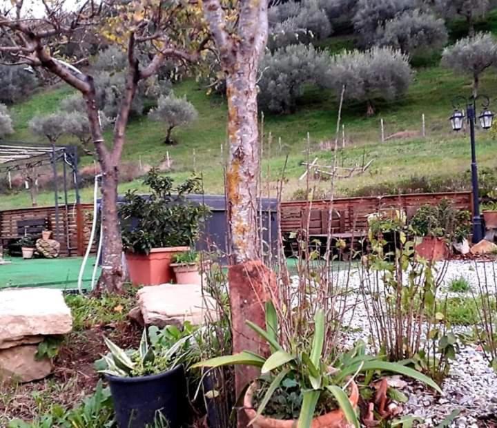 Photo of Others in Castelbuono
