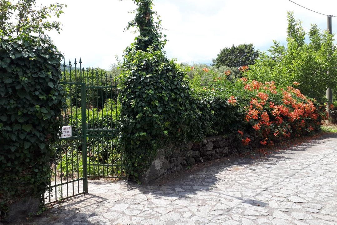 Photo of Others in Rovittello