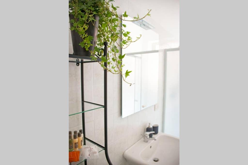Photo of Bathroom in Palermo