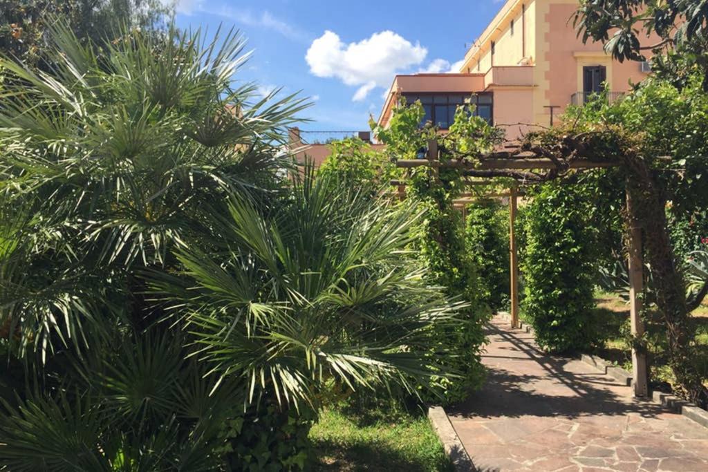 Photo of Others in Palermo