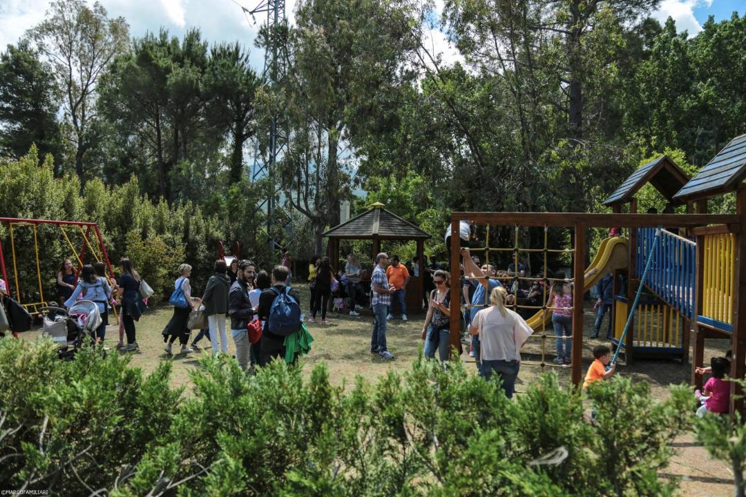 Photo of Others in Milici