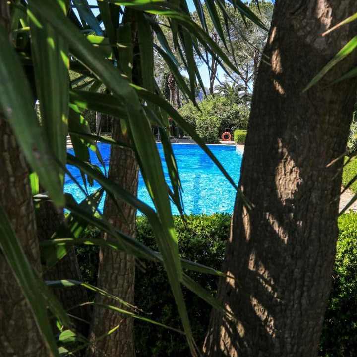 Photo of Others in Milici