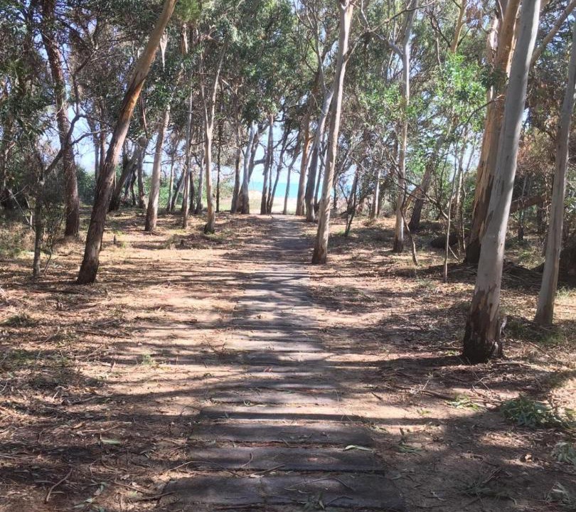 Photo of Outdoor in San Giorgio-Librino-San Giuseppe la Rena-Zia Lisa-Villaggio Sant'Agata
