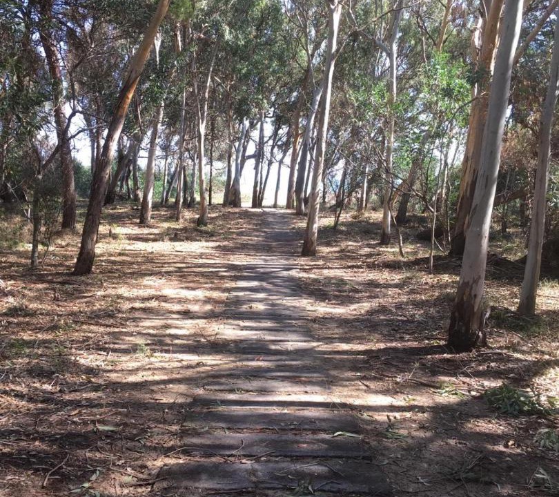 Photo of Outdoor in San Giorgio-Librino-San Giuseppe la Rena-Zia Lisa-Villaggio Sant'Agata