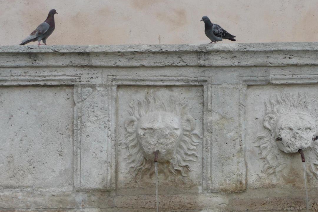 Photo of Others in Rivotorto
