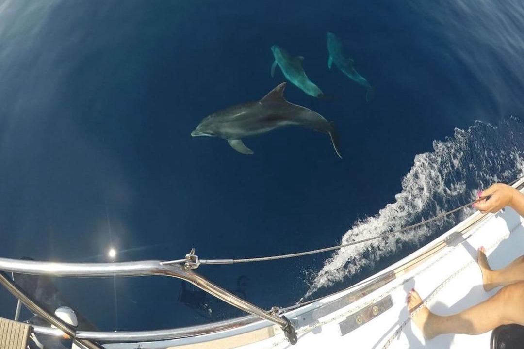 Photo of Others in Lampedusa