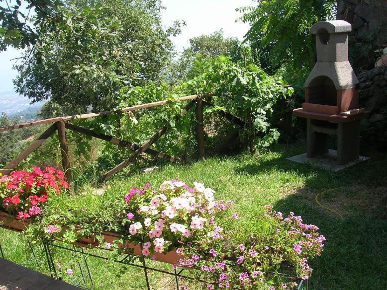 Photo of Others in Mascali