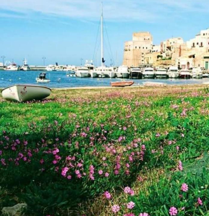 Photo of Outdoor in Scopello