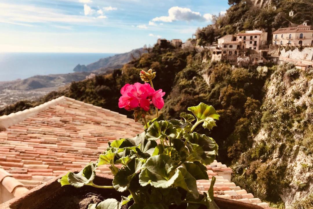 Photo of Others in Savoca