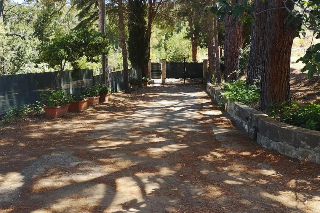 Photo of Others in San Mauro Castelverde