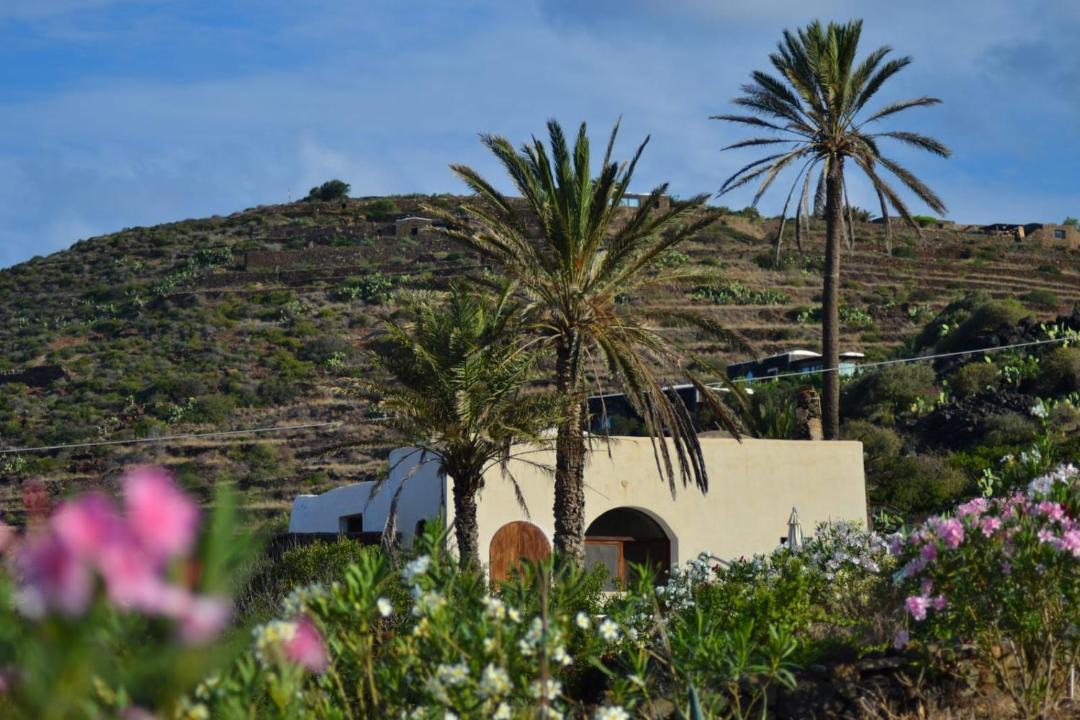Photo of Others in Pantelleria