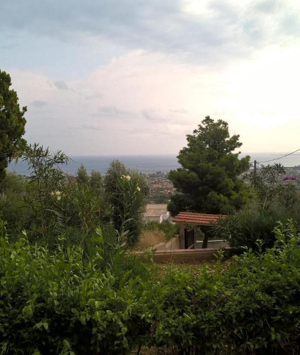 Photo of Outdoor in Carini
