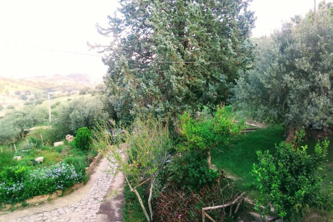 Photo of Others in Mineo