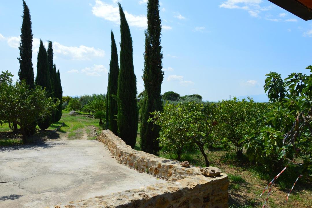 Photo of Others in Partinico