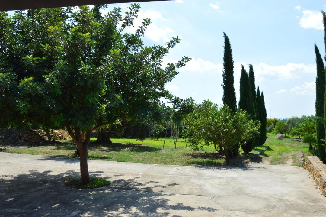 Photo of Outdoor in Partinico