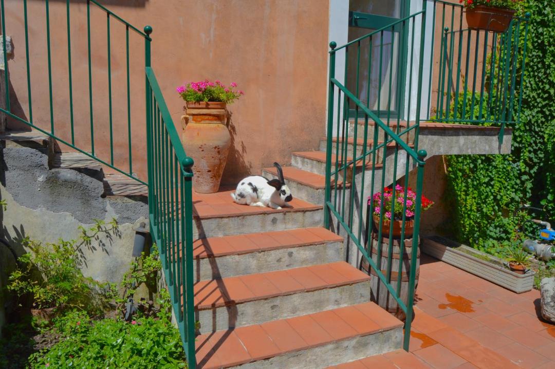 Photo of Patio Balcony in Viagrande