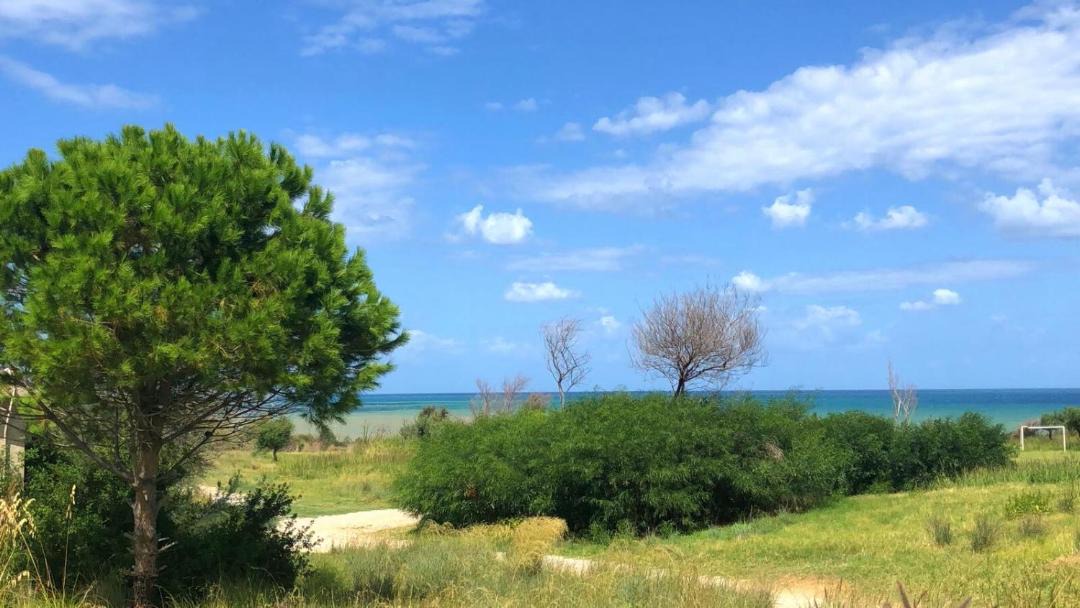 Photo of Outdoor in Mazzaforno