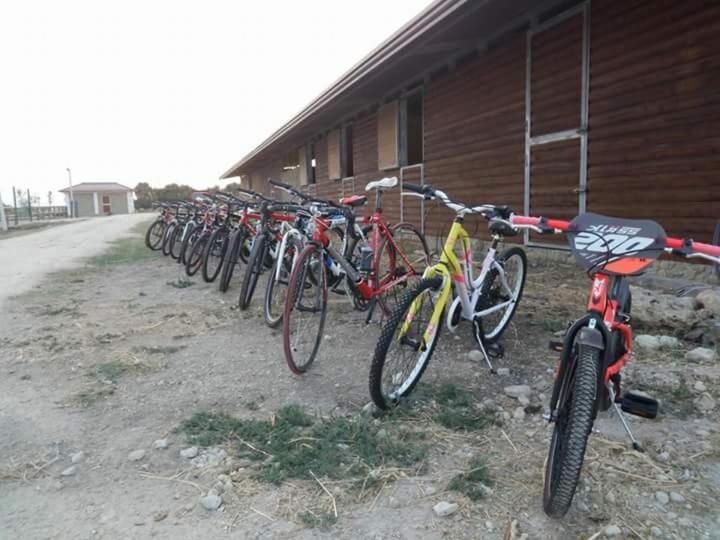 Photo of Others in Carlentini
