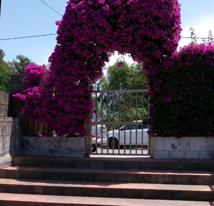 Photo of Others in Fondachello
