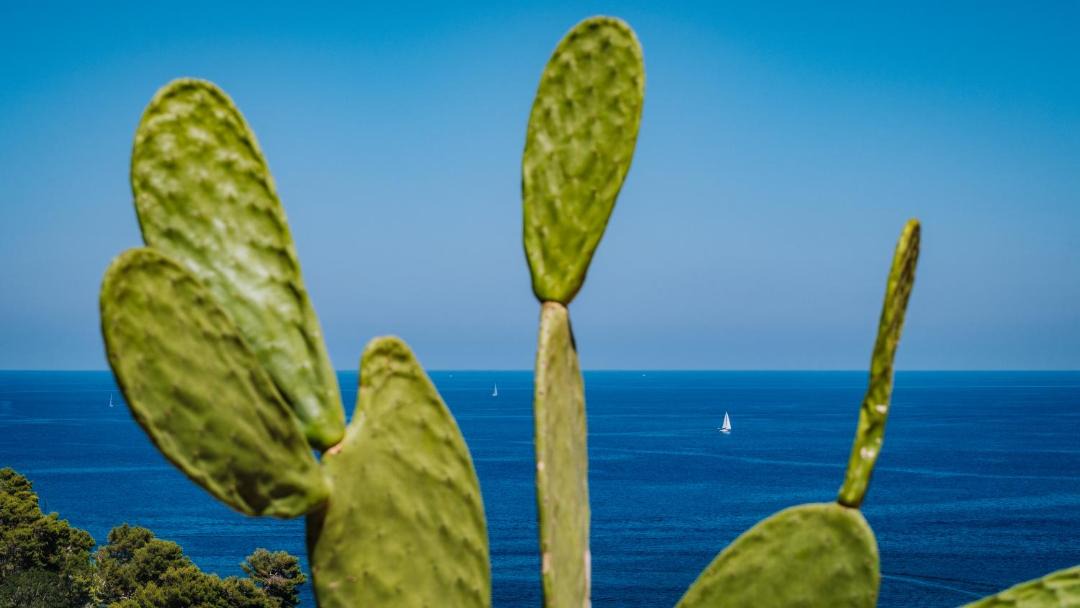 Photo of Others in Capo Zafferano