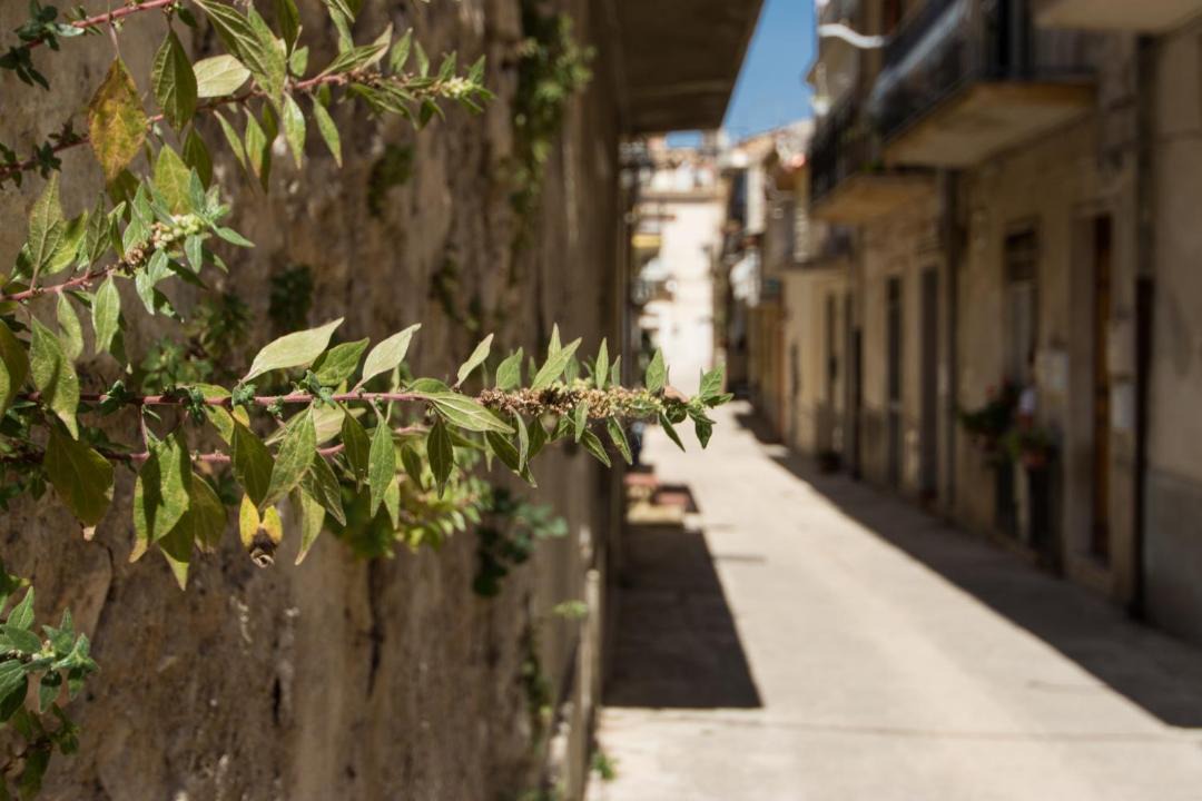 Photo of Buildings in Ragusa