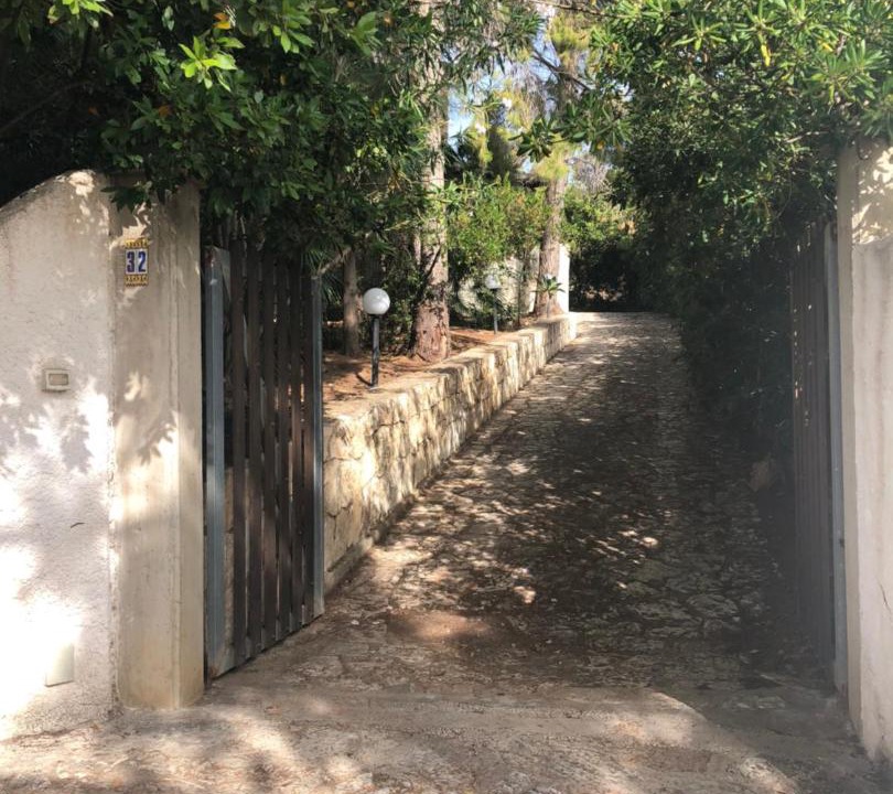 Photo of Others in Scopello