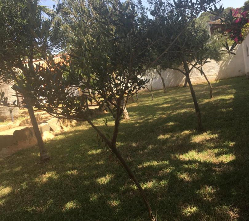 Photo of Outdoor in San Vito Lo Capo