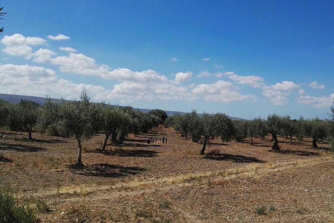 Photo of Others in Chiaramonte Gulfi