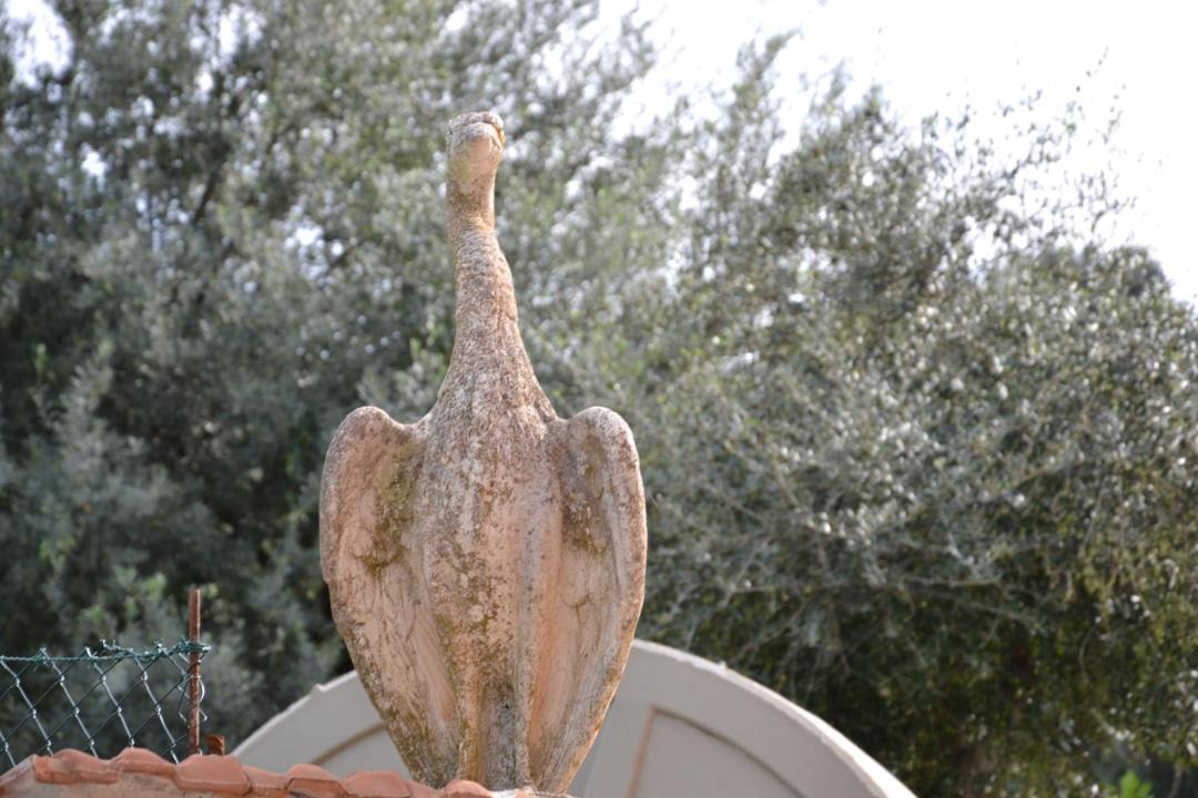 Photo of Others in San Mauro Castelverde