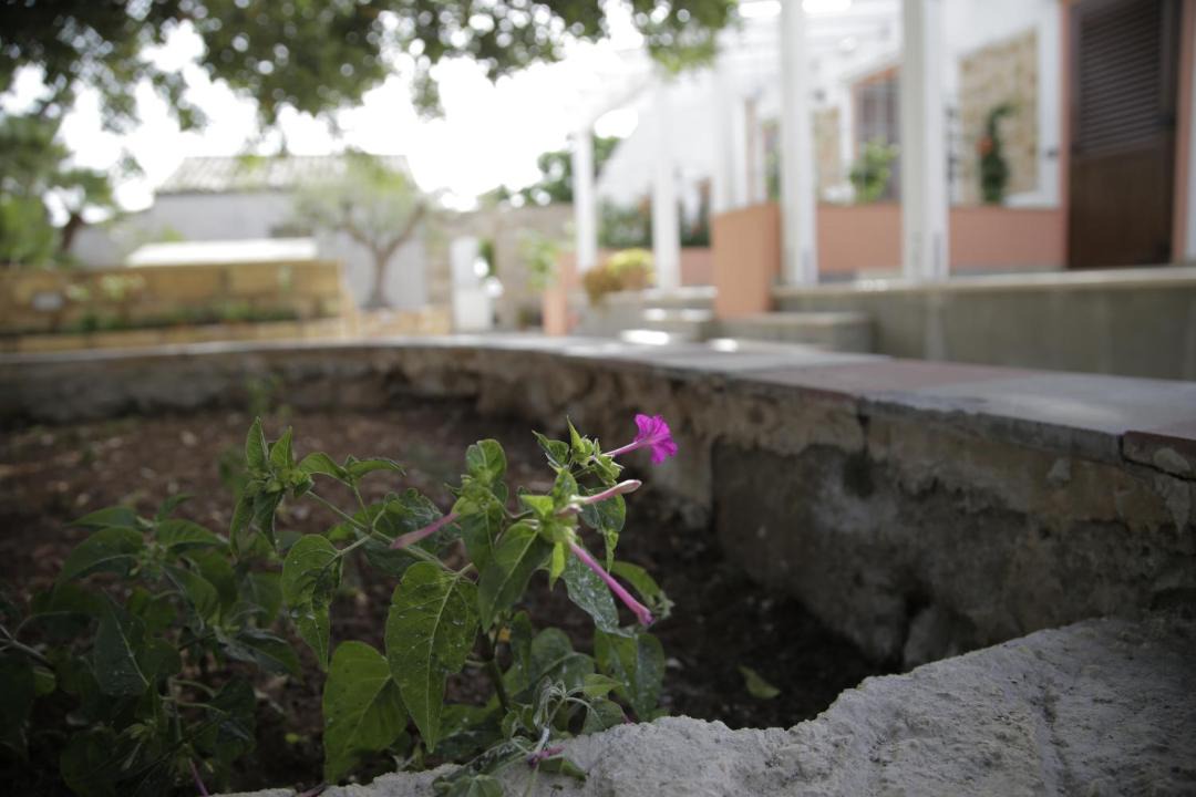 Photo of Others in Custonaci