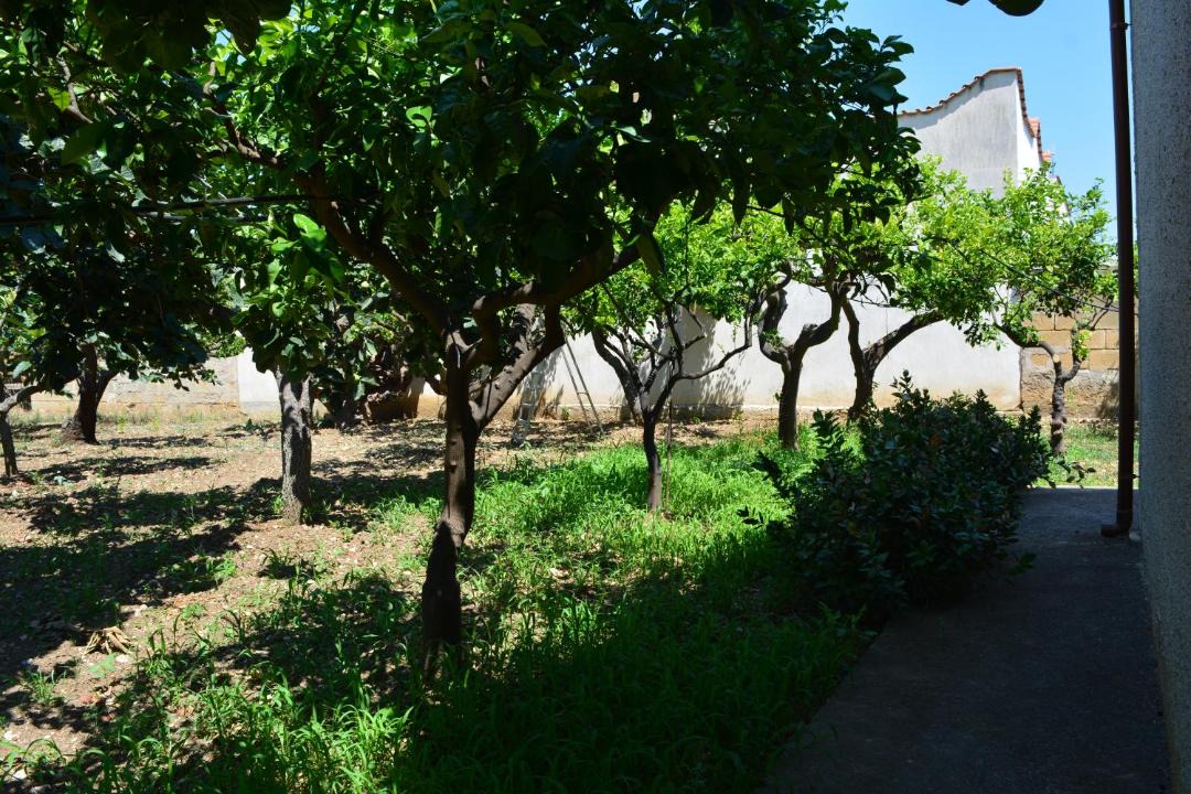 Photo of Others in Sant'Andrea Bonagia