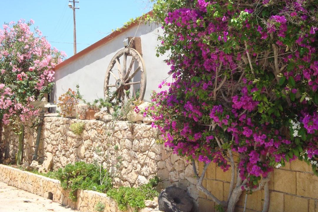Photo of Buildings in Lampedusa