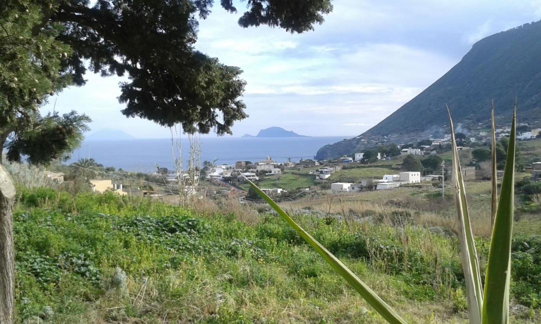 Photo of Others in Malfa