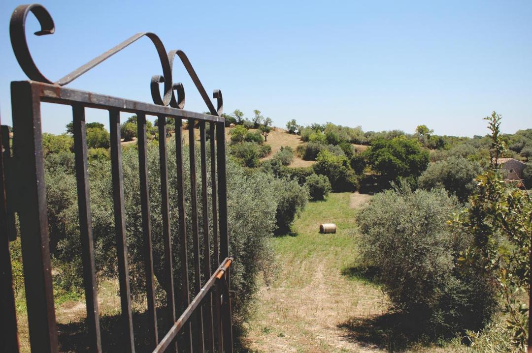 Photo of Others in Ragusa