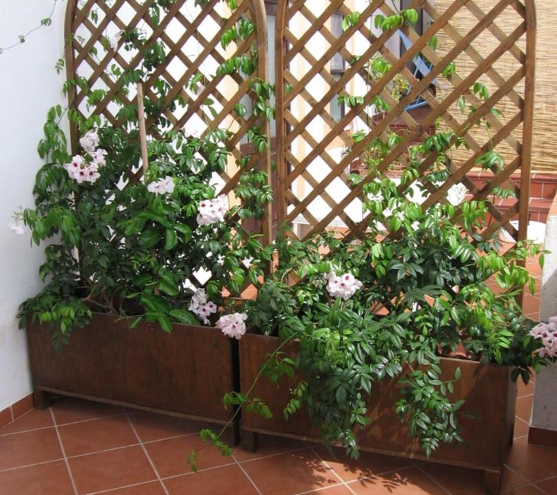 Photo of Patio Balcony in Santa Marina Salina