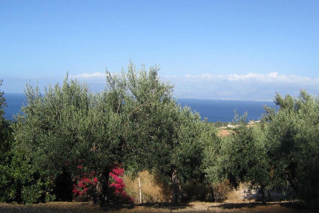 Photo of Others in Scopello