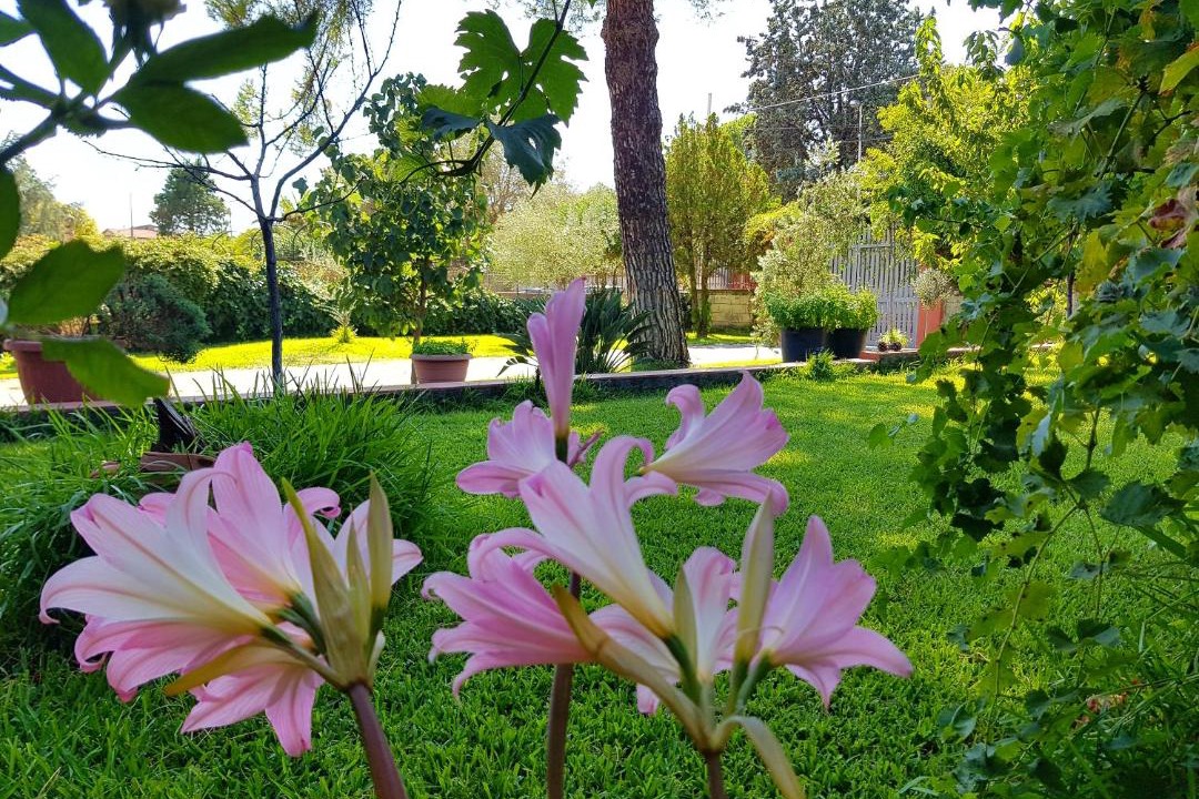 Photo of Outdoor in Pedara