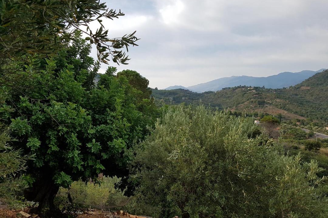 Photo of Outdoor in Pollina