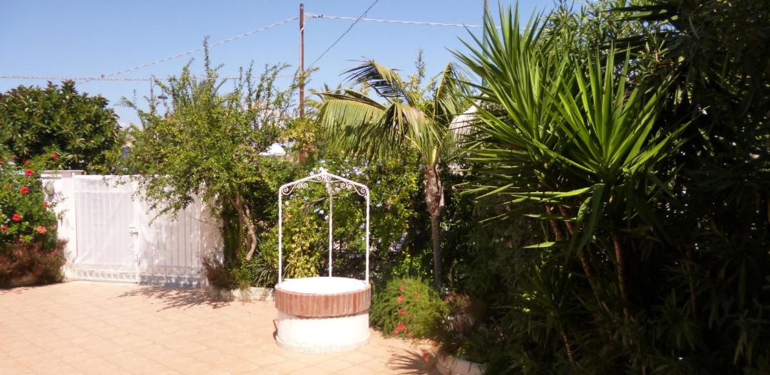 Photo of Others in Marinella di Selinunte