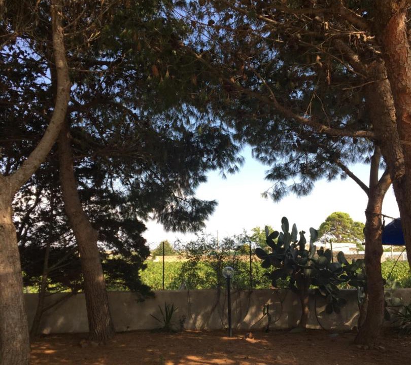 Photo of Others in Marsala