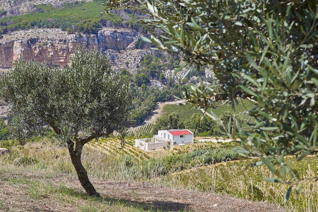 Photo of Others in Alcamo