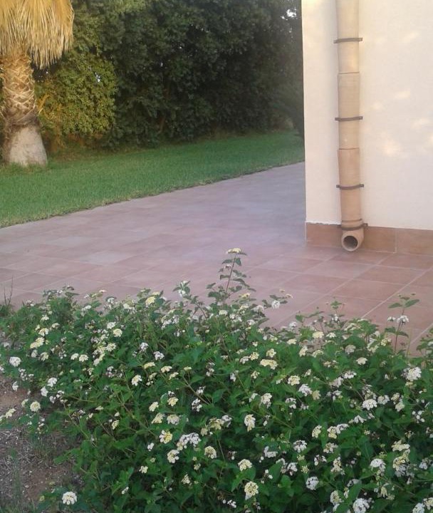 Photo of Others in Marsala