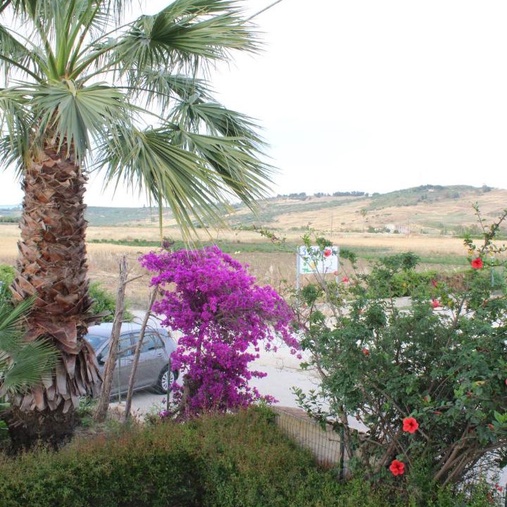Photo of Others in Sciacca